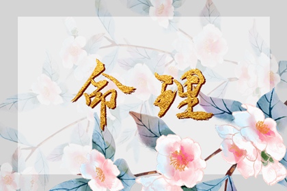 黄道吉日万年历|2025老黄历黄道吉日查询|今日农历黄道吉日查询
